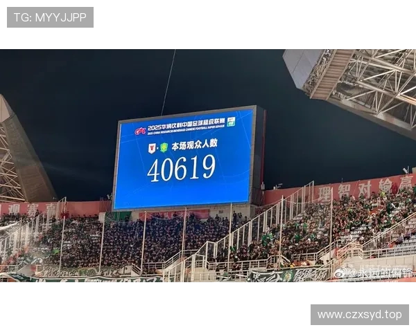 中超第19轮现场观众创历史新高朱艺称人数刷新第三大纪录